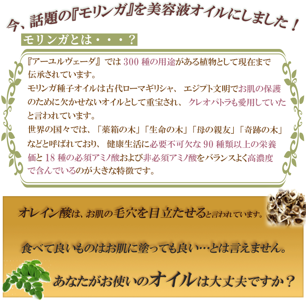 天然成分の美容液オイル。モリンガは北インドが原産で約5000年も前から人々に薬草として利用され、モーゼの神話にも出てきます。