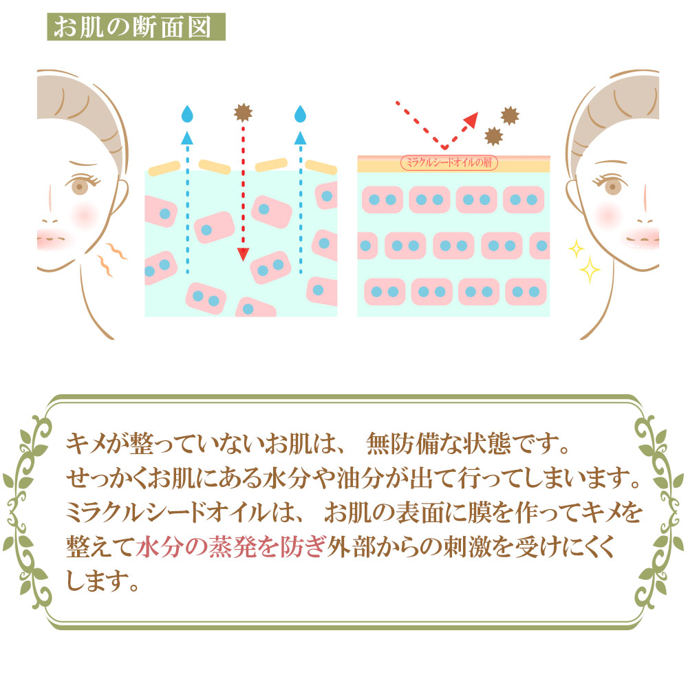 モリンガは土嬢内の栄養成分と太陽エネルギーの吸収力が高いために成長スピードがとても早く、数ヶ月で3～4メートルの高さになり深緑の葉をたくさんつけます